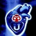 Avatar de Usuario